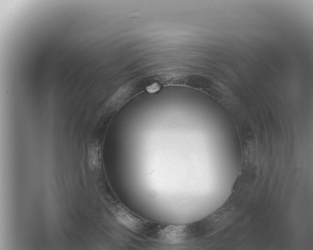 X0000062840138200601171455