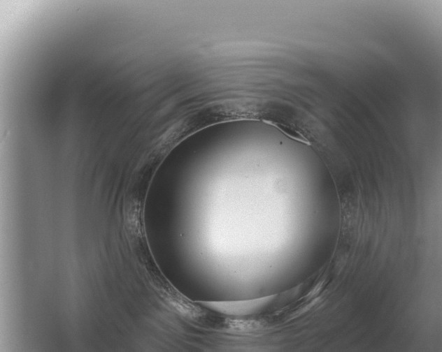 X0000062840141200601171455