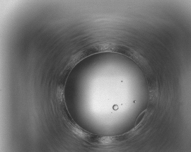 X0000062840142200601171455