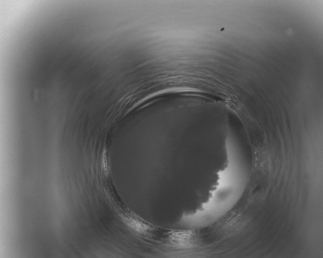 X0000062840143200601171455