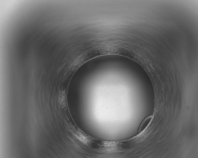 X0000062840144200601171455