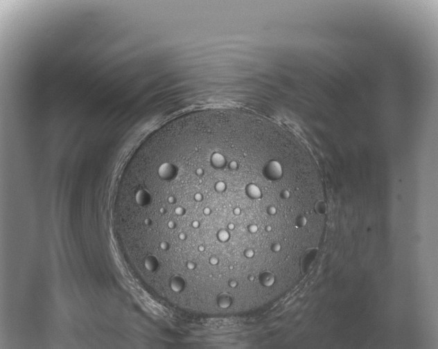 X0000062840145200601171454