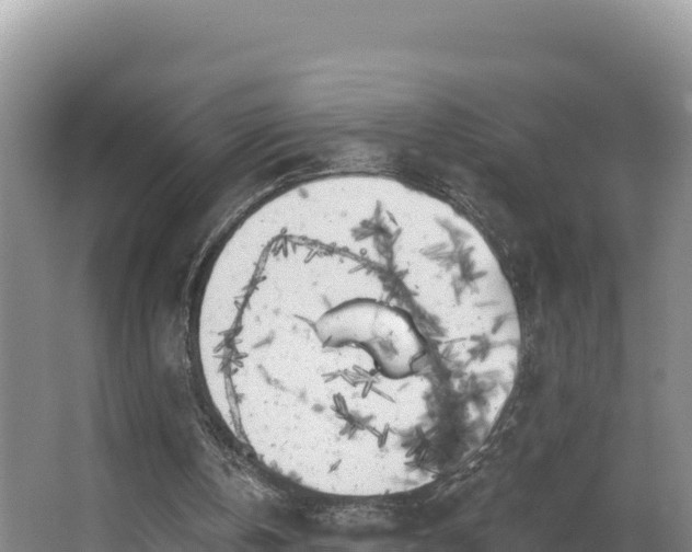 X0000062840146200601171454