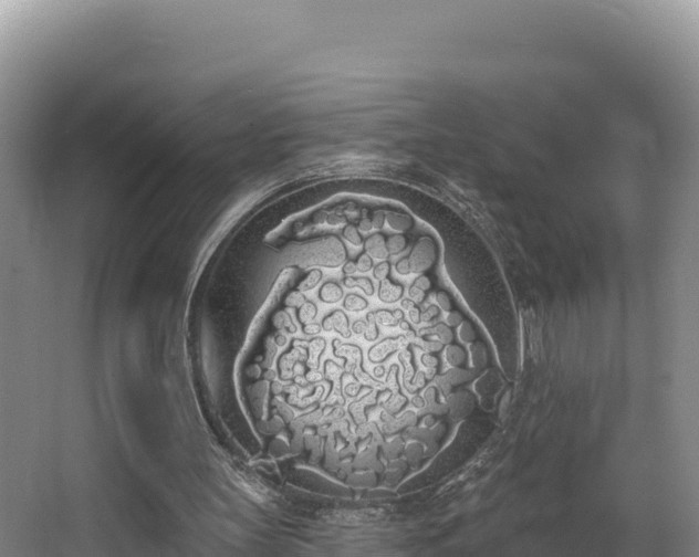 X0000062840147200601171454