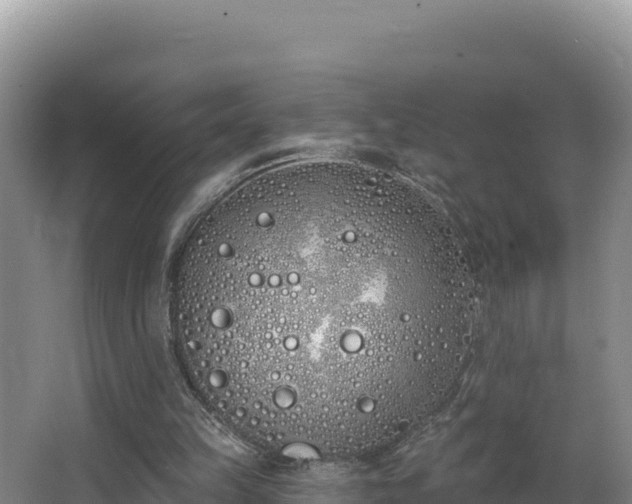 X0000062840149200601171454