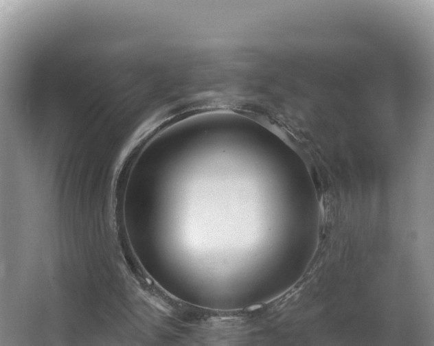 X0000062840150200601171454