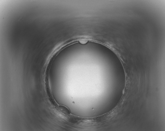 X0000062840151200601171454