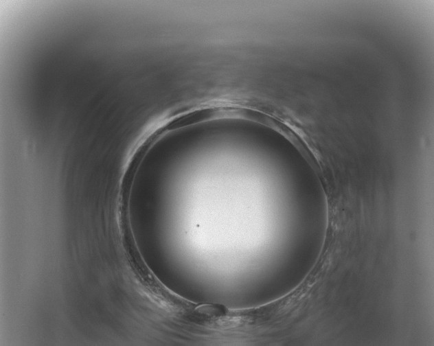 X0000062840152200601171454