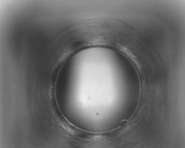 X0000062840153200601171454