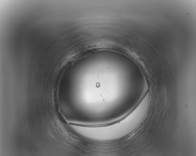 X0000062840154200601171454