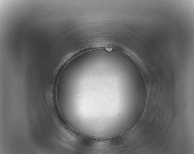 X0000062840155200601171454