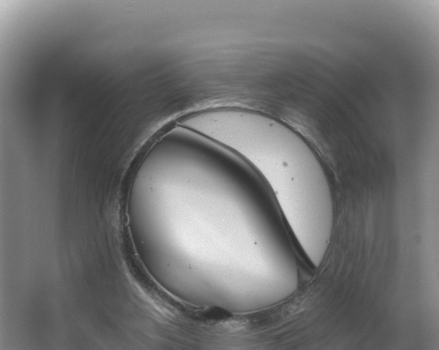 X0000062840156200601171454