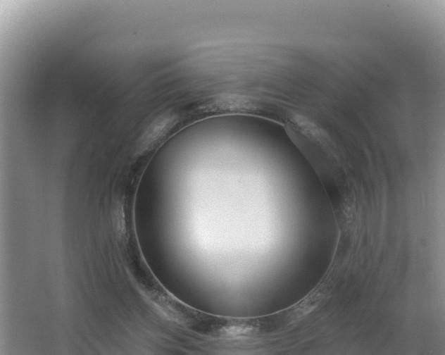 X0000062840158200601171454