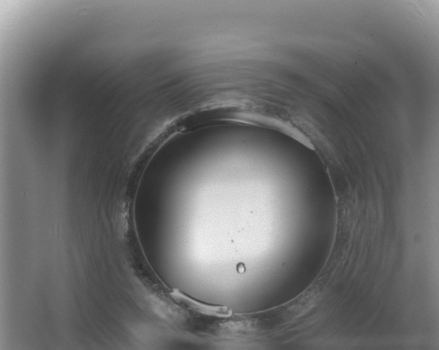 X0000062840160200601171454