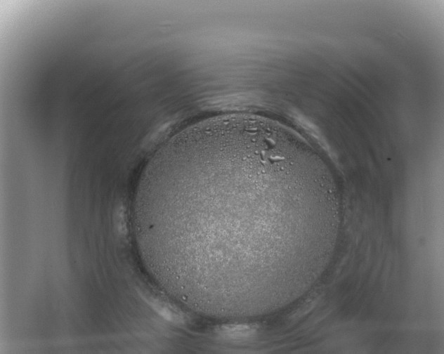 X0000062840161200601171454