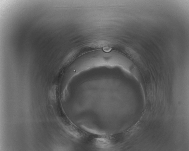 X0000062840167200601171454