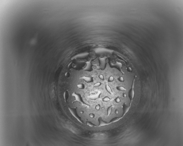 X0000062840169200601171454