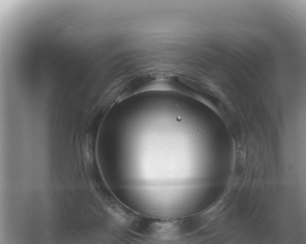 X0000062840170200601171454