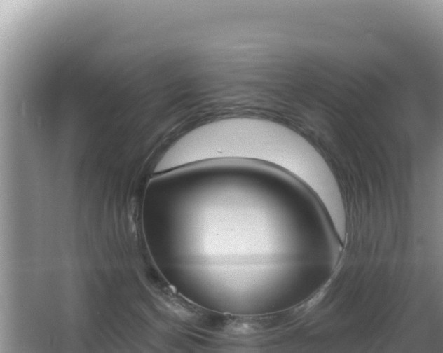 X0000062840174200601171454