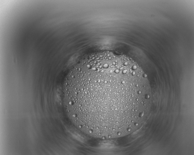 X0000062840175200601171454