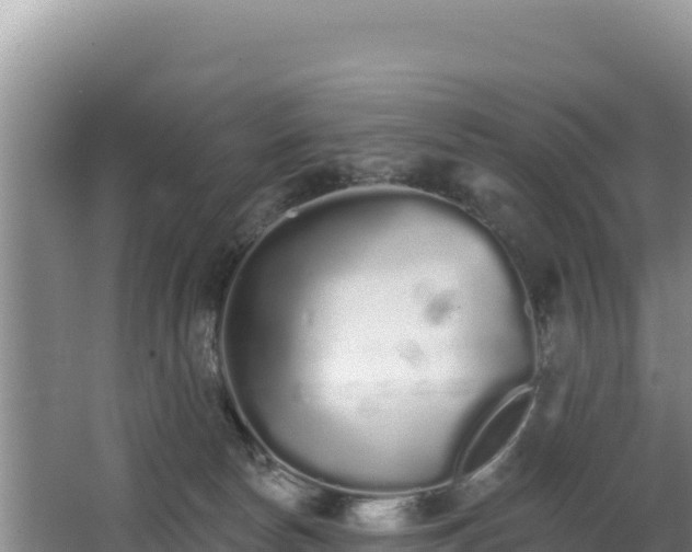 X0000062840178200601171454