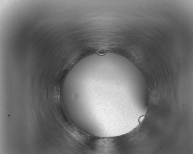 X0000062840179200601171455