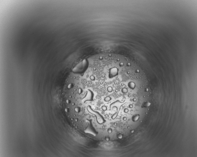 X0000062840181200601171455