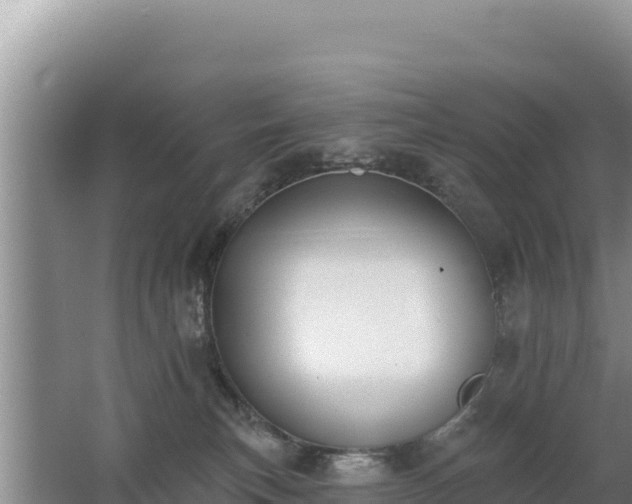 X0000062840183200601171455