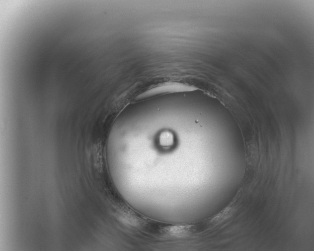 X0000062840184200601171455