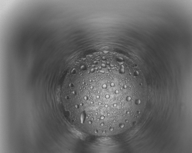 X0000062840189200601171455