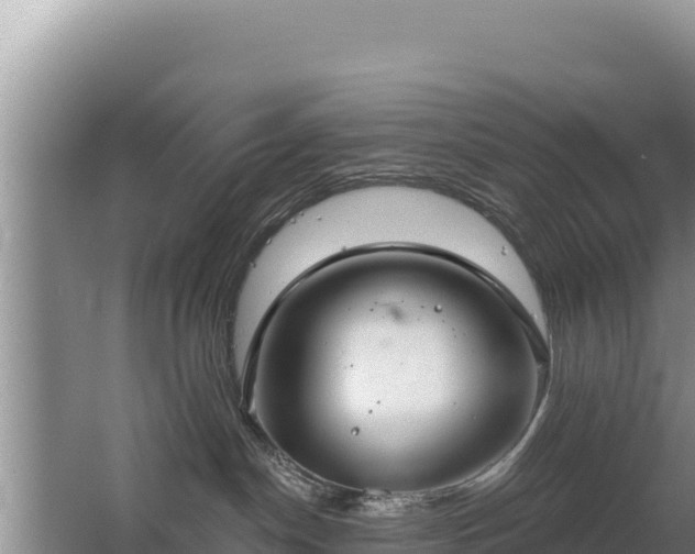 X0000062840190200601171455