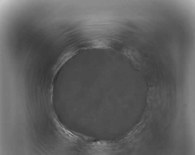 X0000062840194200601171454