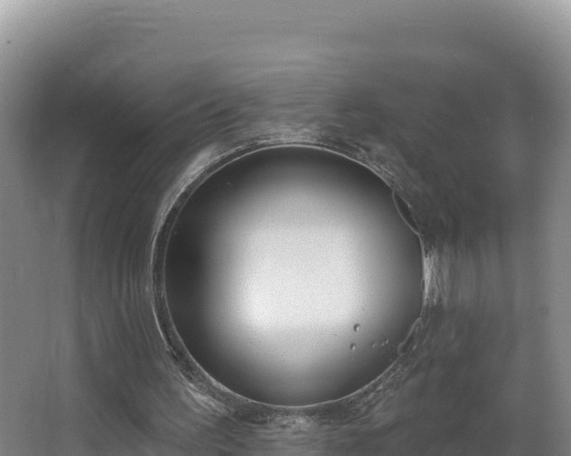 X0000062840195200601171454