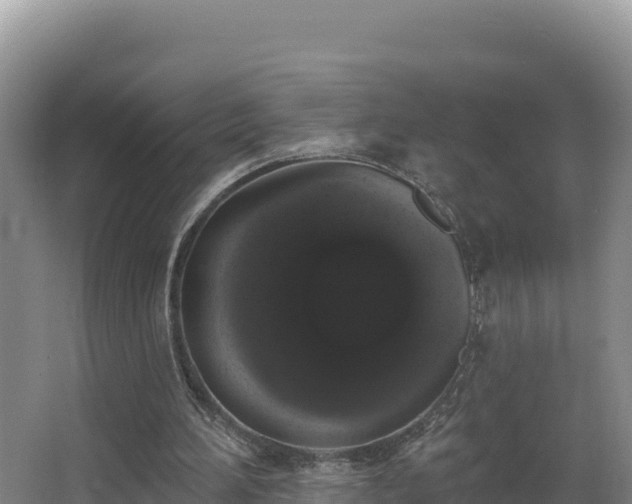 X0000062840196200601171454