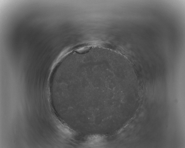 X0000062840198200601171454