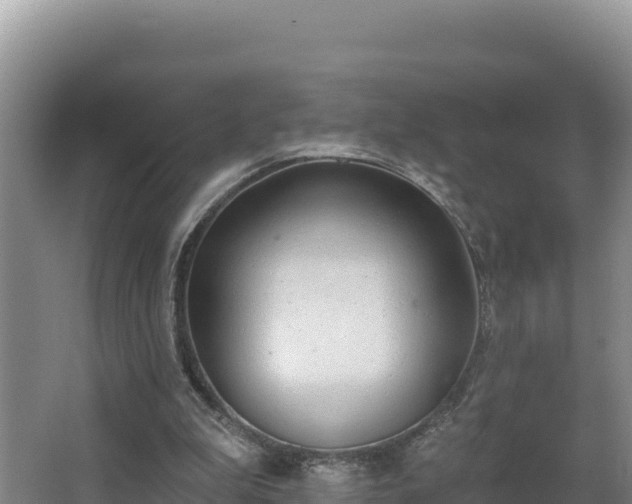 X0000062840199200601171454