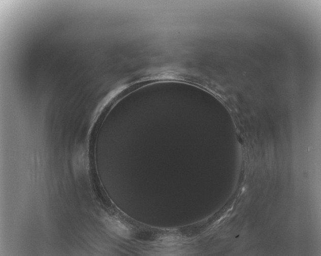 X0000062840200200601171454