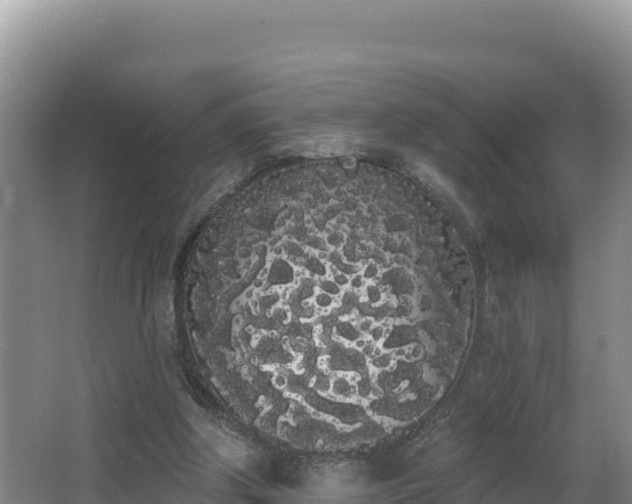 X0000062840202200601171454