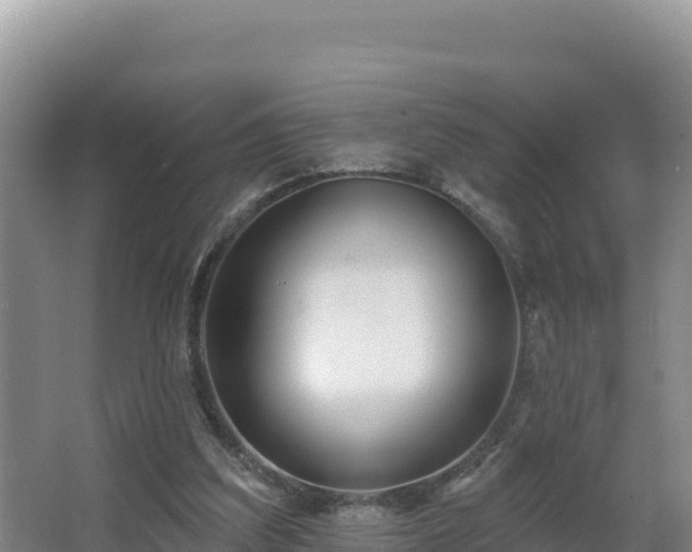 X0000062840203200601171454