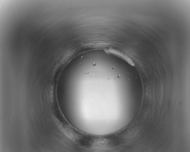 X0000062840206200601171454