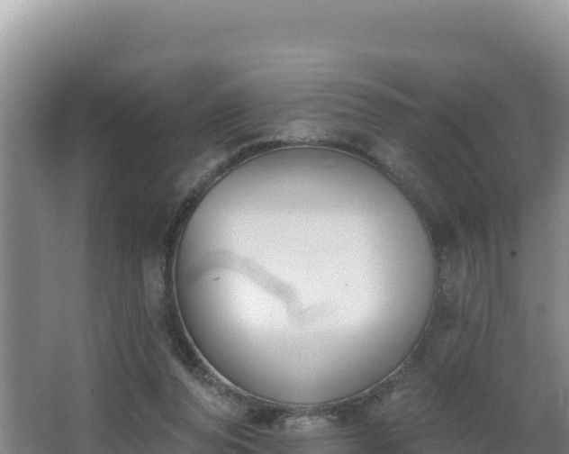 X0000062840208200601171454