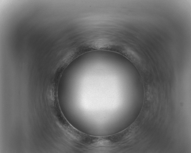 X0000062840210200601171454