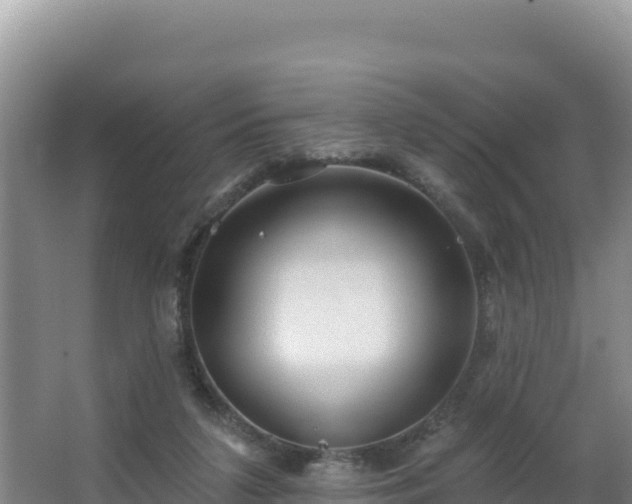 X0000062840211200601171454