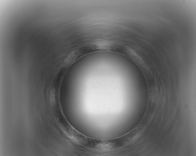 X0000062840213200601171454