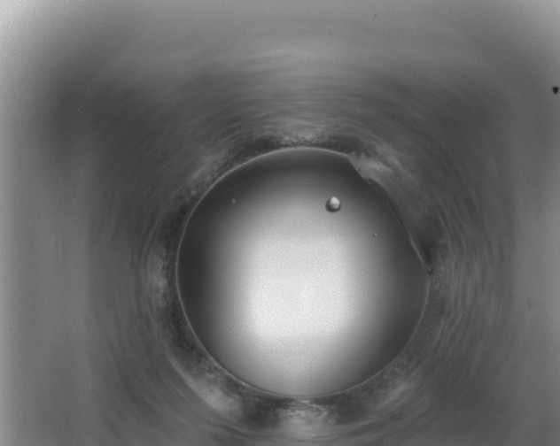 X0000062840215200601171454