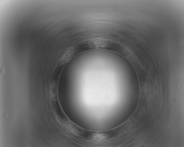 X0000062840218200601171454