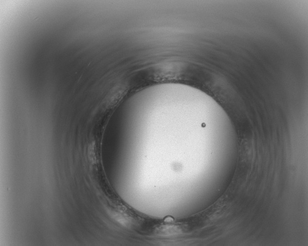 X0000062840224200601171453