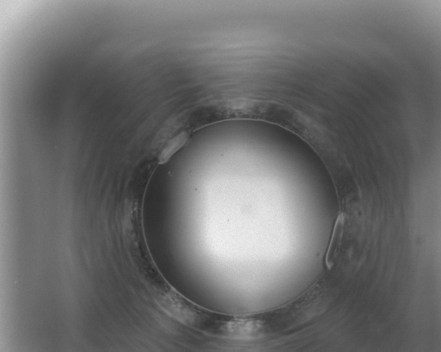 X0000062840225200601171453