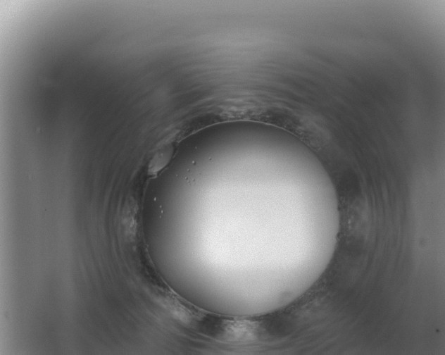 X0000062840226200601171453