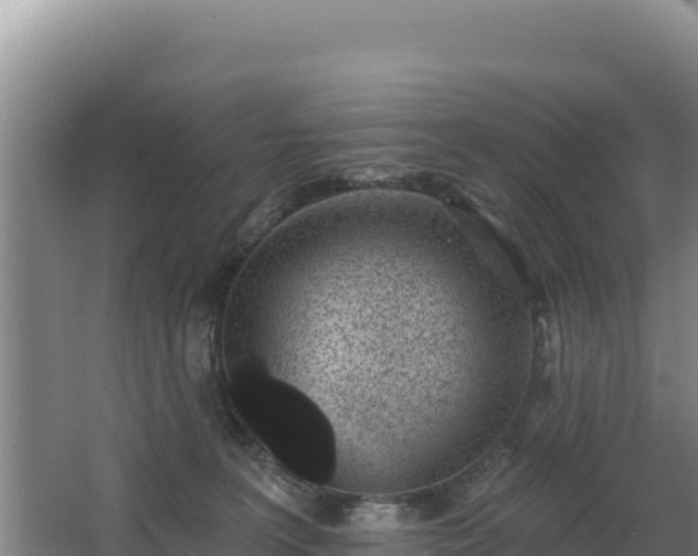 X0000062840227200601171453